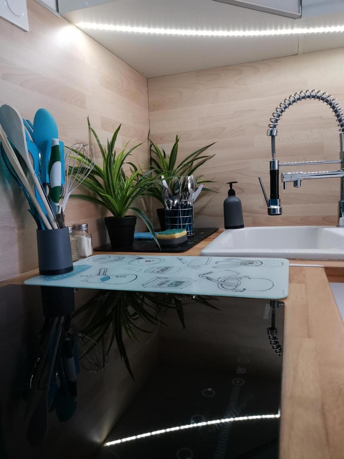 appartement vue mer pour 4 personnes accès direct plage wifi haut débit gratuit Le Barcarès Esterno foto